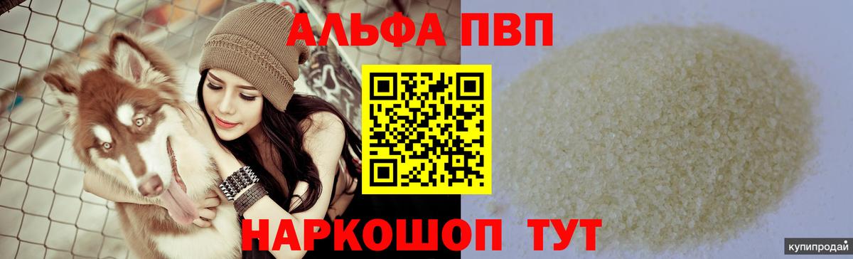 A PVP СК КРИС Воронеж