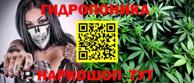 стафф Берёзовский