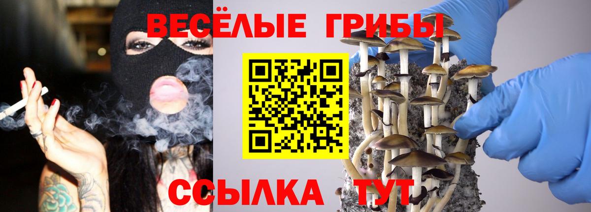Галлюциногенные грибы мицелий Воронеж
