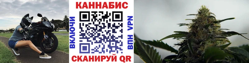 Бошки марихуана планчик  Воронеж 